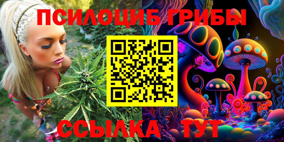 Галлюциногенные грибы Psilocybine cubensis  Вход с VPN  Александров 
